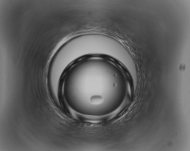 X0000096170056200801181259