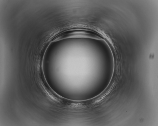 X0000096170057200801181259