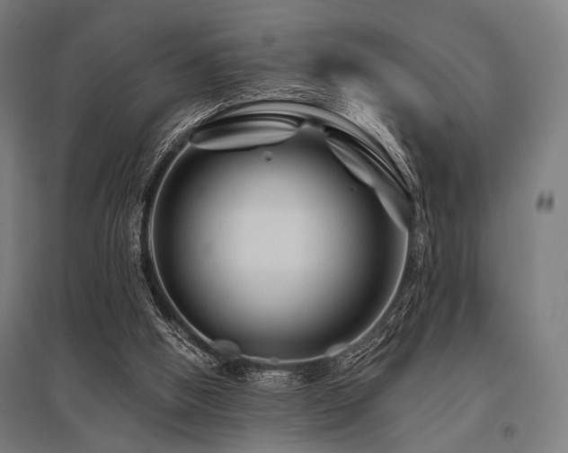 X0000096170058200801181259