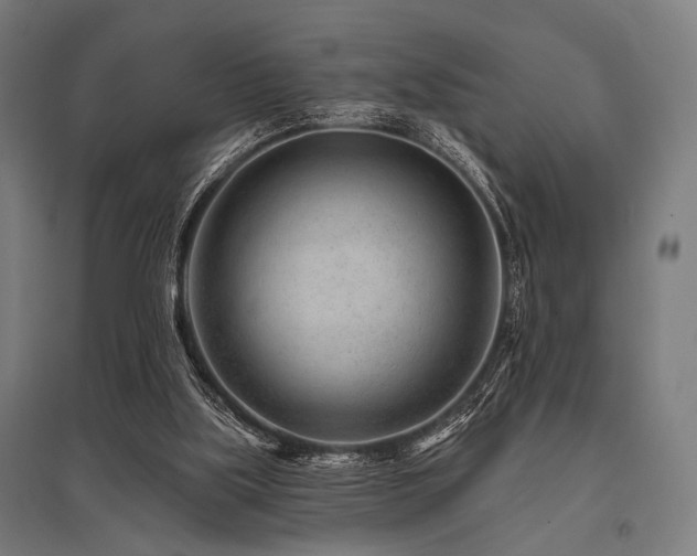 X0000096170059200801181259