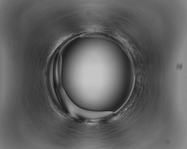 X0000096170060200801181259