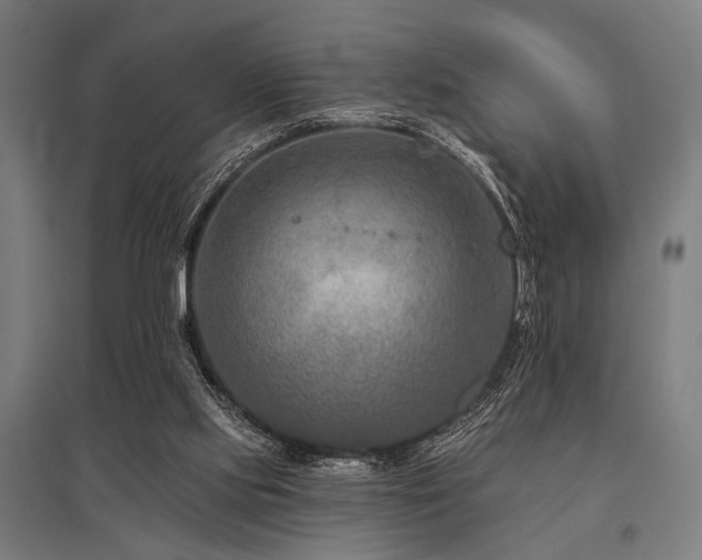 X0000096170061200801181259