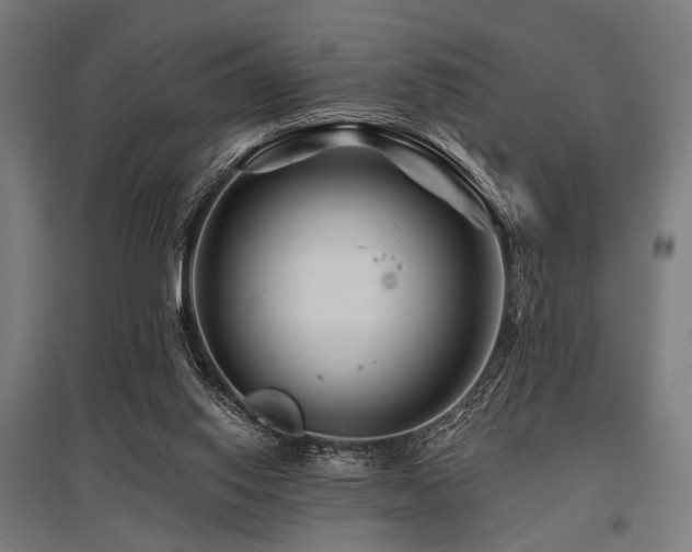 X0000096170062200801181259