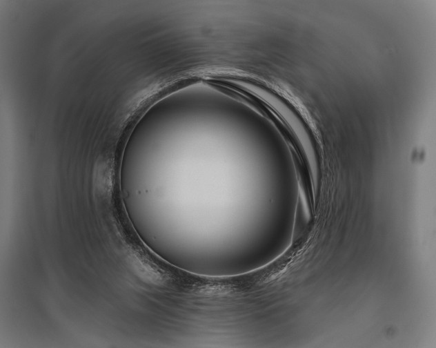 X0000096170063200801181259