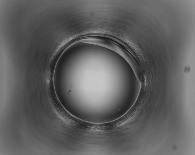 X0000096170064200801181259