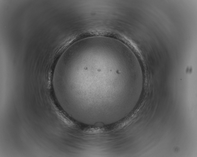 X0000096170065200801181259