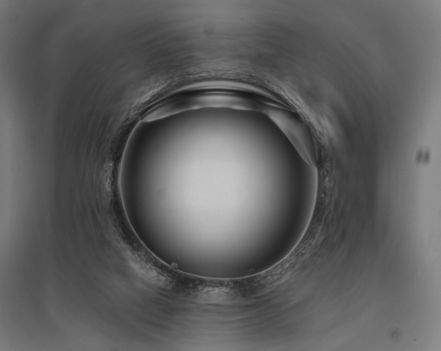 X0000096170066200801181259