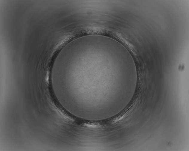X0000096170067200801181259