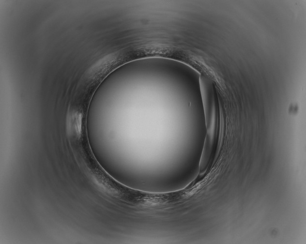 X0000096170070200801181259