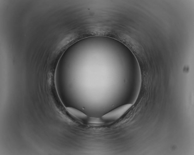 X0000096170071200801181259