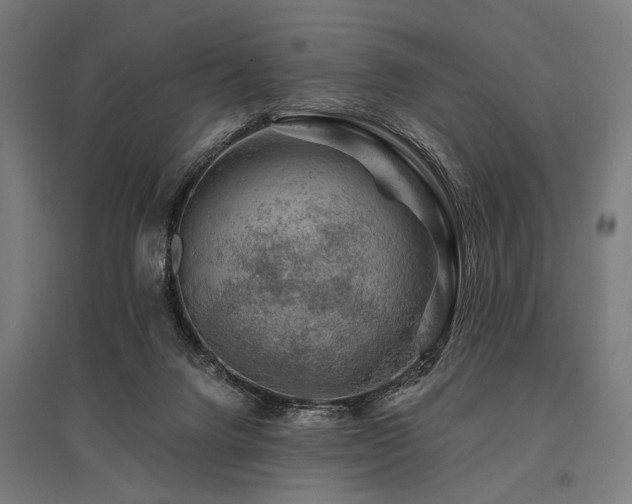 X0000096170072200801181259