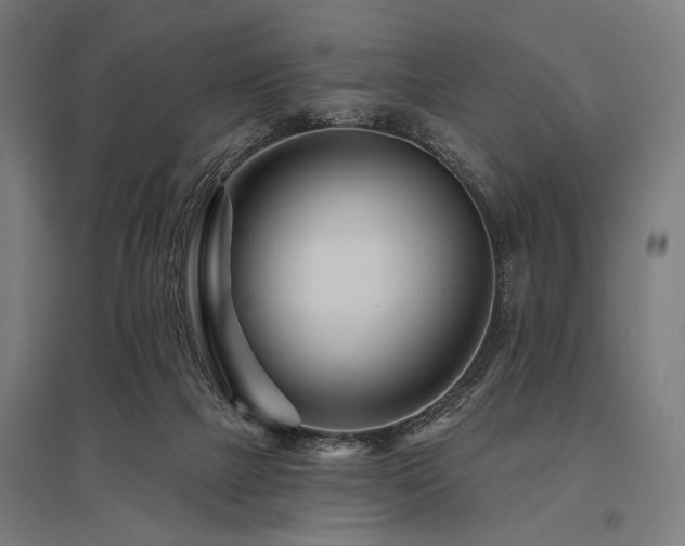 X0000096170073200801181259