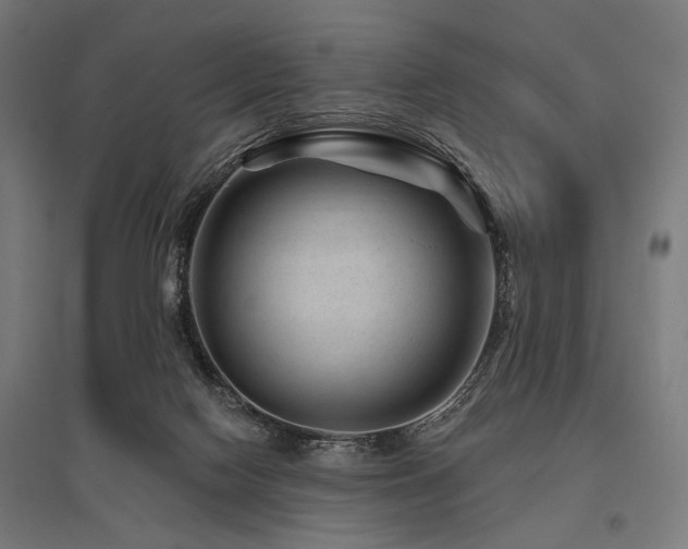 X0000096170074200801181259