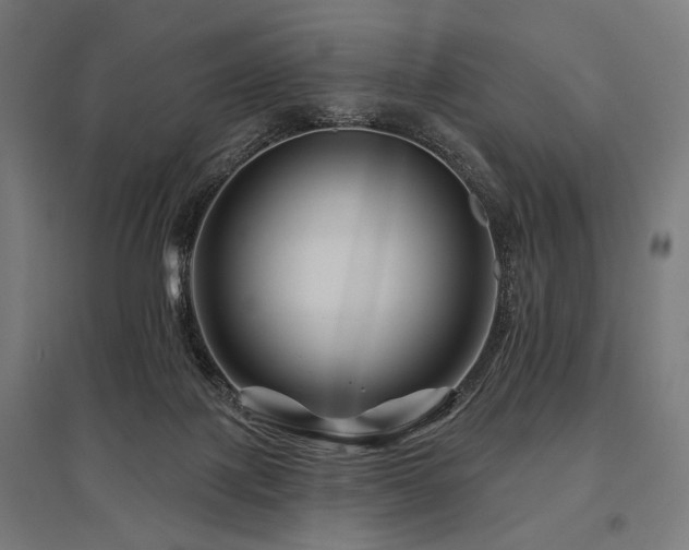 X0000096170075200801181259