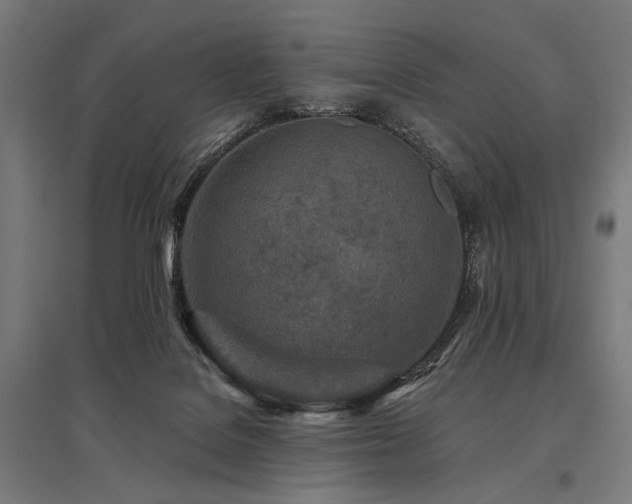 X0000096170076200801181259