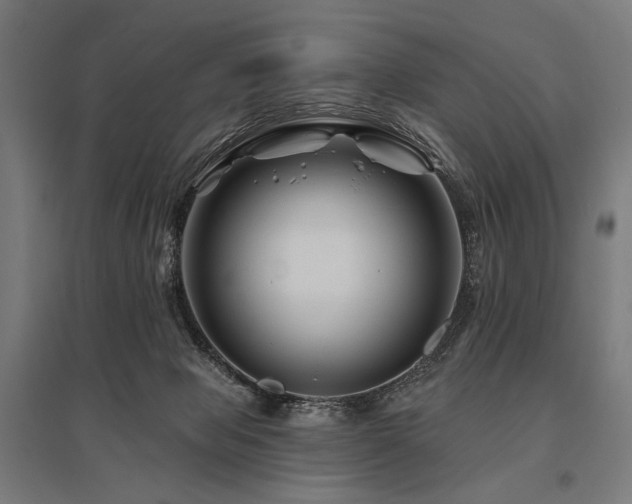X0000096170077200801181259