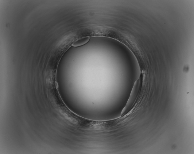 X0000096170078200801181259