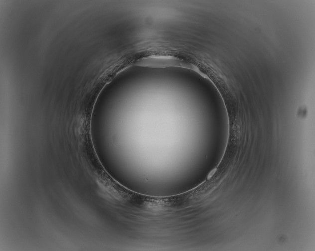 X0000096170079200801181259