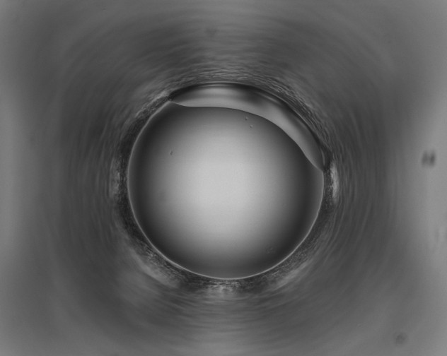 X0000096170080200801181259
