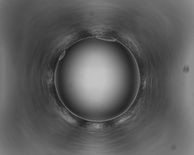 X0000096170081200801181259