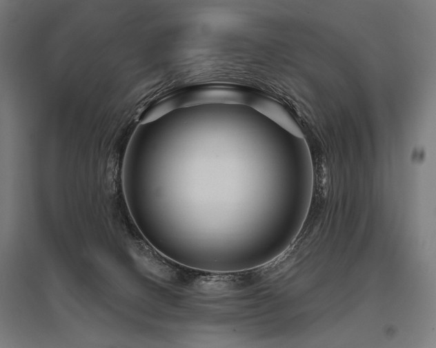 X0000096170082200801181259