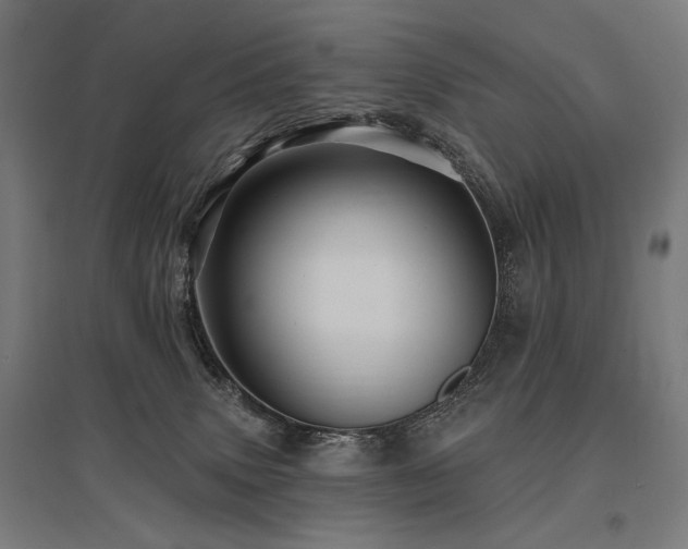 X0000096170083200801181259