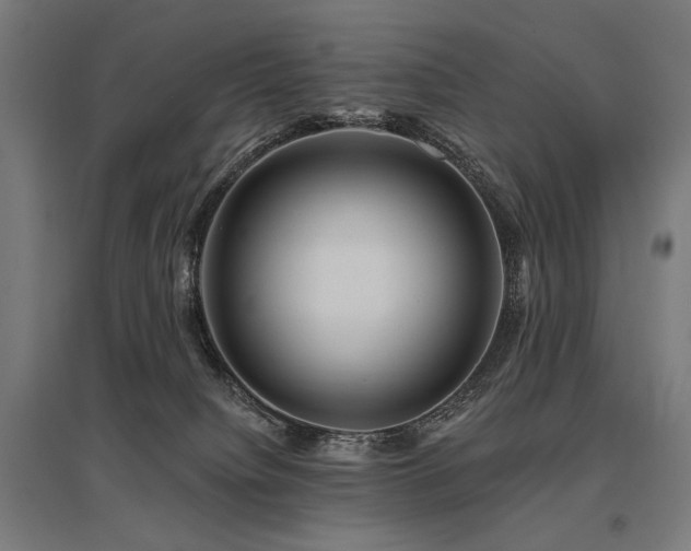 X0000096170084200801181259