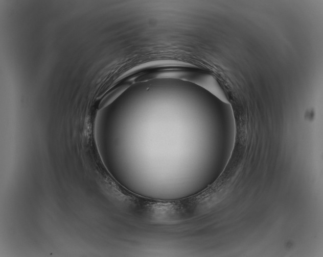 X0000096170085200801181259