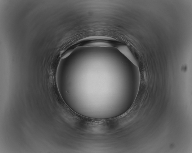 X0000096170086200801181259