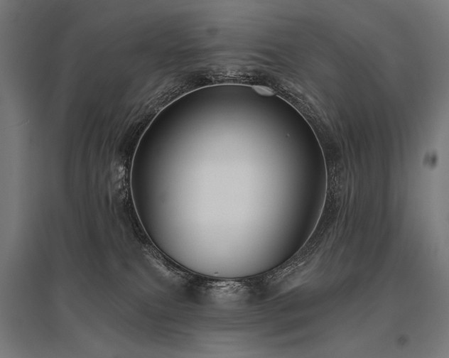 X0000096170087200801181259