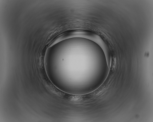 X0000096170088200801181259
