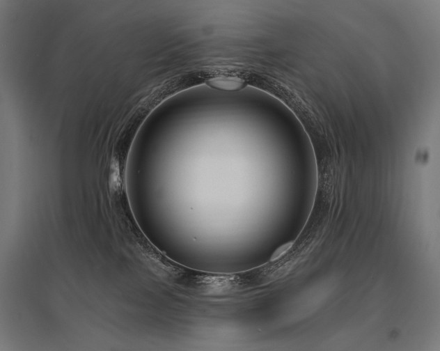 X0000096170089200801181259