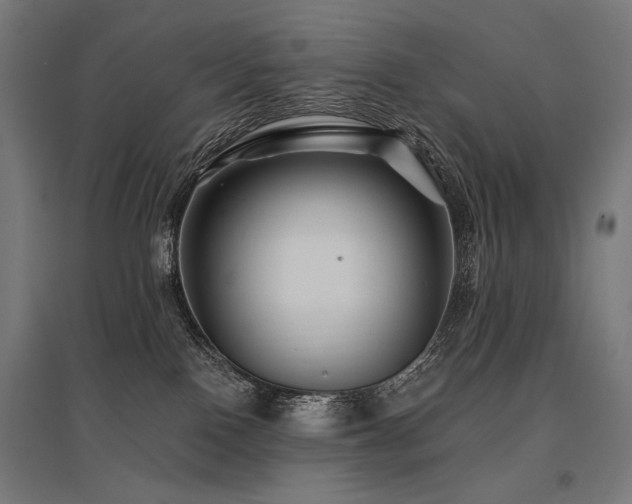 X0000096170090200801181259