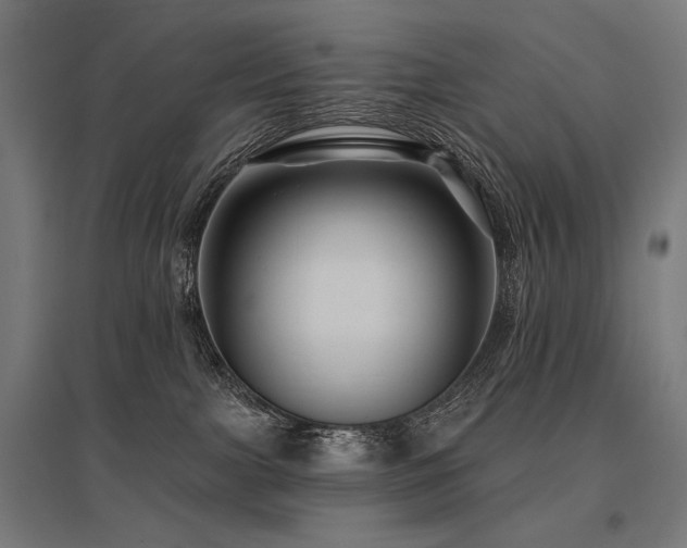 X0000096170091200801181259