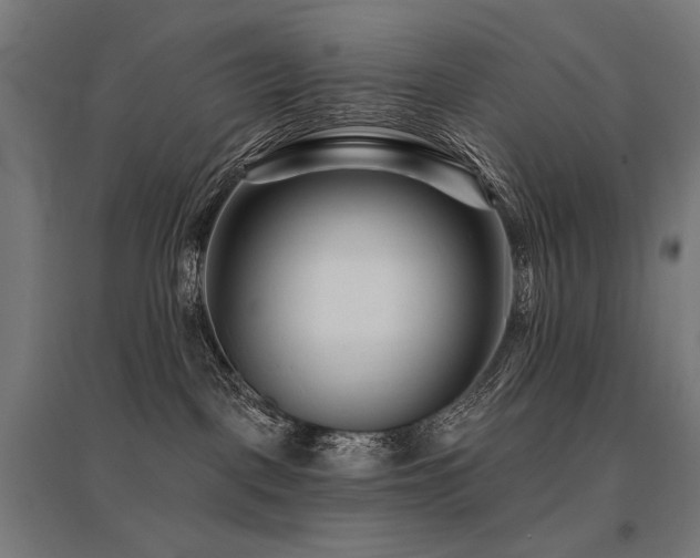 X0000096170093200801181259