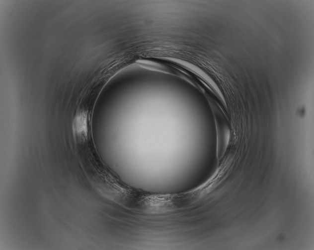 X0000096170094200801181259