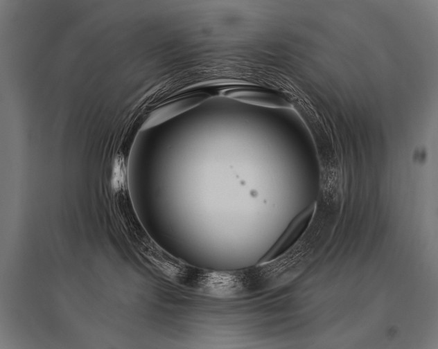 X0000096170095200801181259