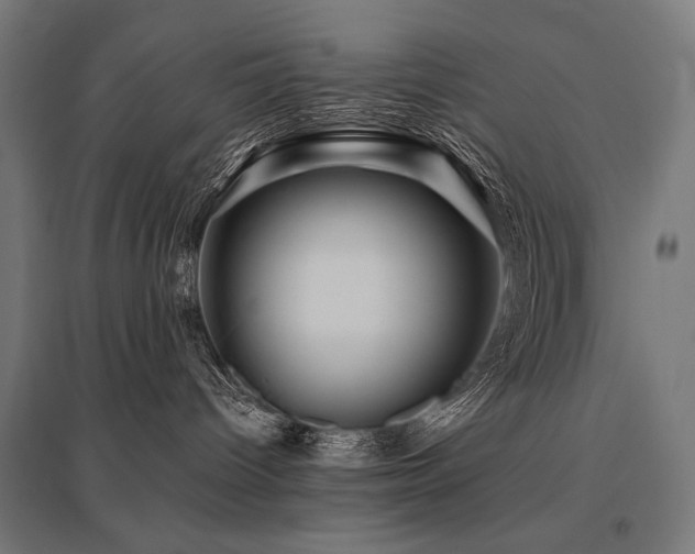 X0000096170096200801181259