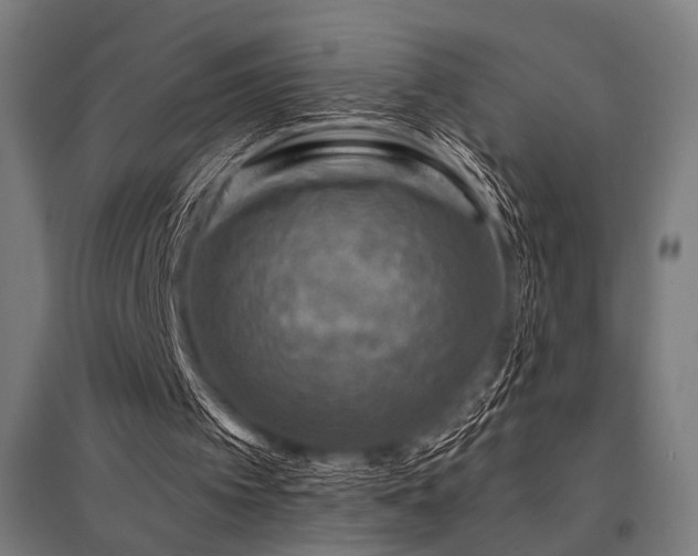 X0000096170097200801181259