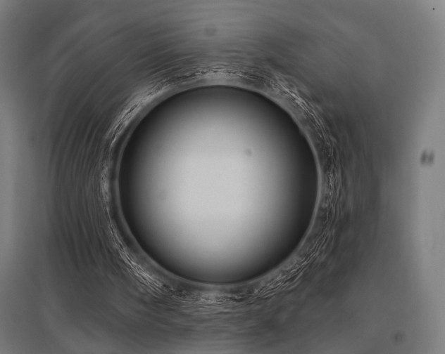 X0000096170098200801181259
