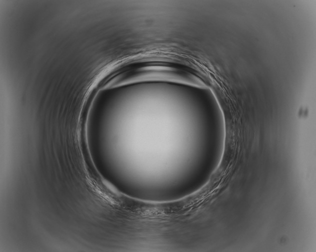 X0000096170100200801181259