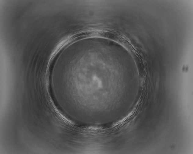 X0000096170101200801181259
