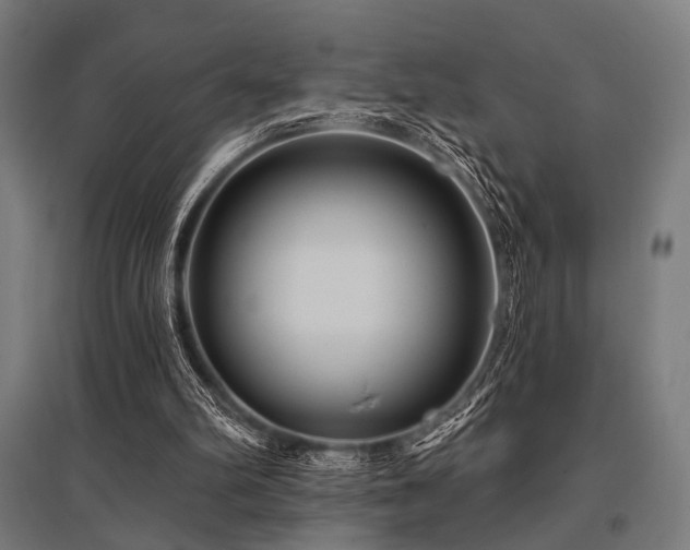X0000096170102200801181259
