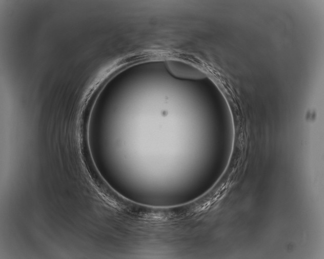 X0000096170103200801181259