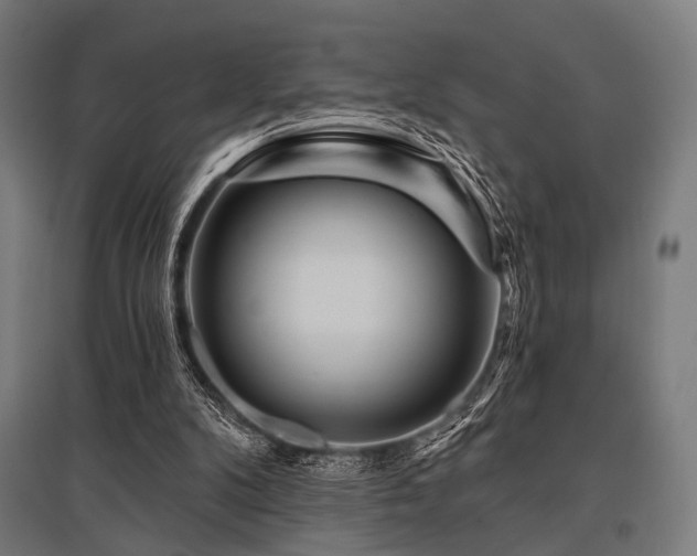 X0000096170104200801181259