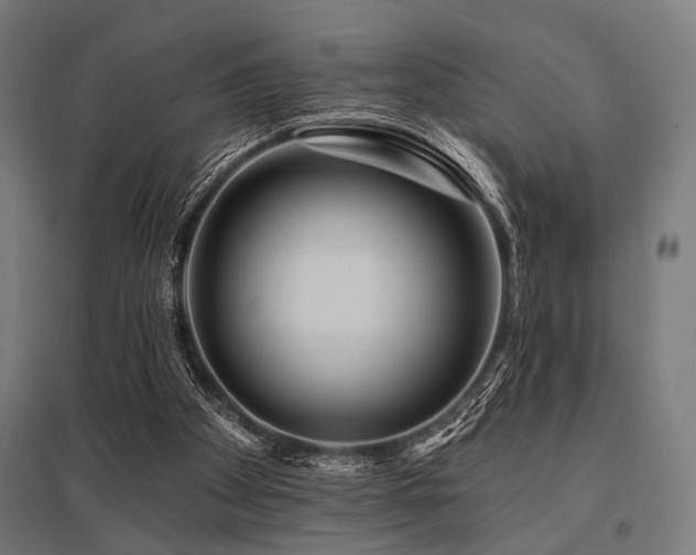 X0000096170105200801181259
