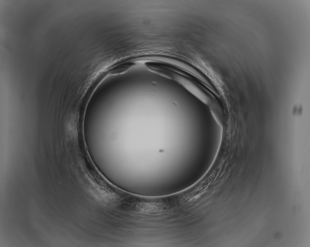 X0000096170107200801181259