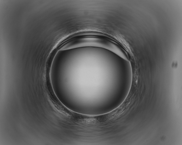 X0000096170108200801181259