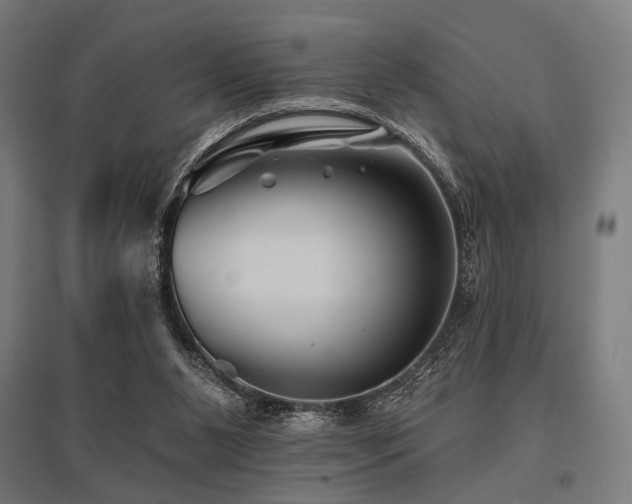 X0000096170111200801181259