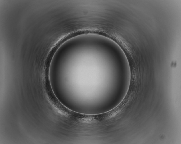 X0000096170112200801181259